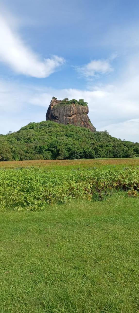 Kings Village Sigirija Zewnętrze zdjęcie